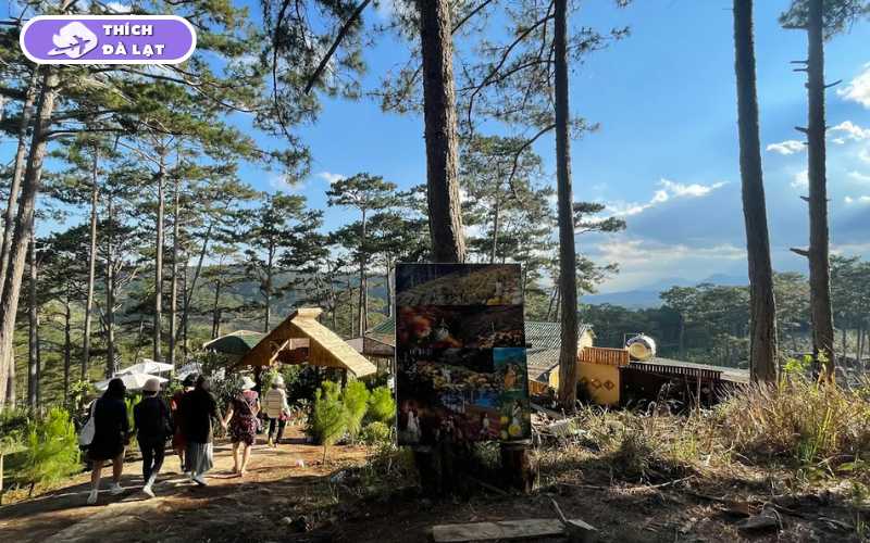 Cánh Đồng Hoa Bất Tử - Điểm check in cho giới trẻ 11 cánh đồng hoa bất tử