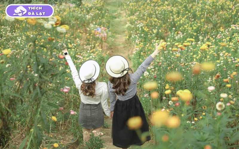 Cánh Đồng Hoa Bất Tử - Điểm check in cho giới trẻ 13 cánh đồng hoa bất tử