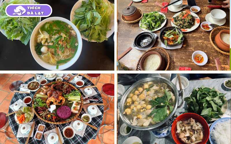 Cánh Đồng Hoa Bất Tử - Điểm check in cho giới trẻ 16 cánh đồng hoa bất tử