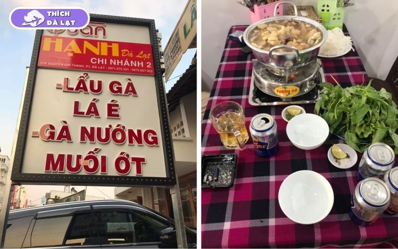 Quán Lẩu gà lá é Hạnh Đà Lạt giá mềm gà ta lá é tươi ngon 9 lẩu gà lá é hạnh đà lạt