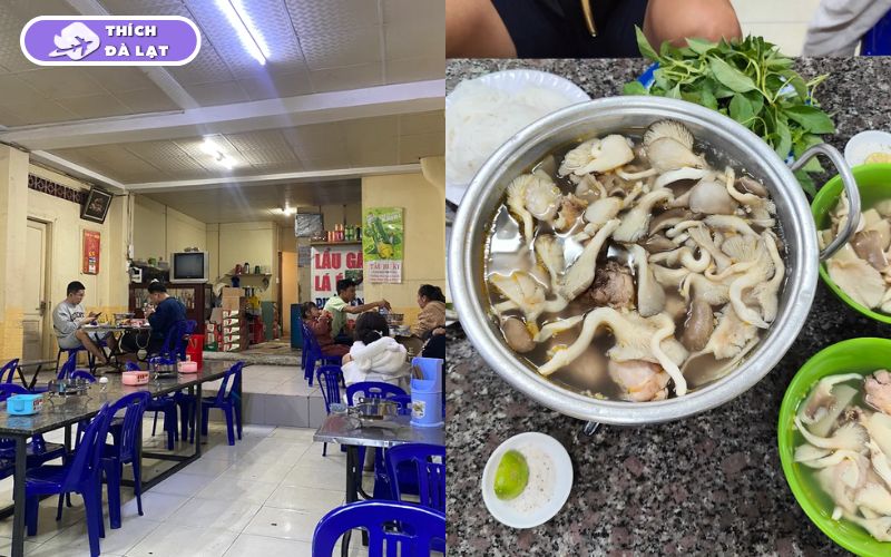 Top 10 quán lẩu gà lá é Tao Ngộ ngon, nổi tiếng nhất tại Đà Lạt 18 lẩu gà lá é tao ngộ