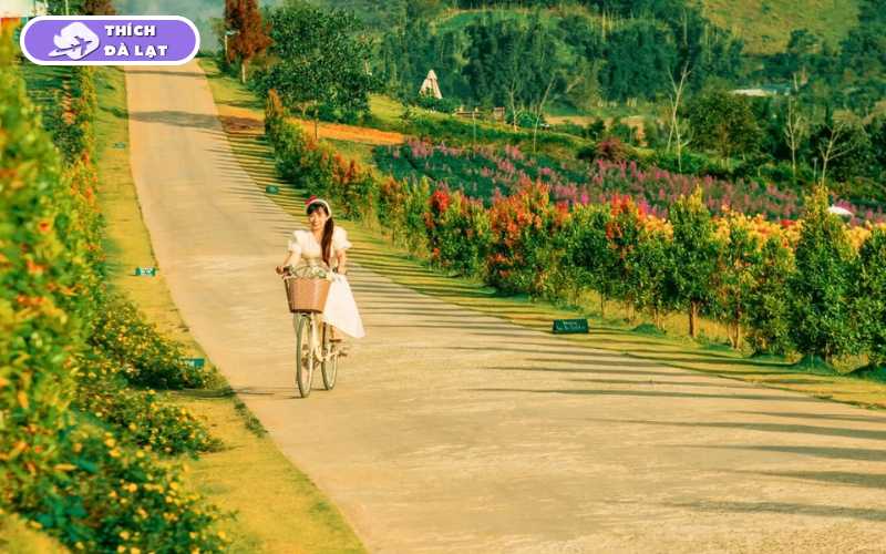 The Florest Hoa Trong Rừng điểm hot nhất Đà Lạt 12 the florest hoa trong rừng