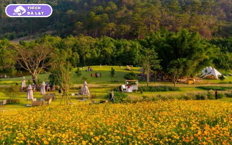 The Florest Hoa Trong Rừng điểm hot nhất Đà Lạt 15 the florest hoa trong rừng