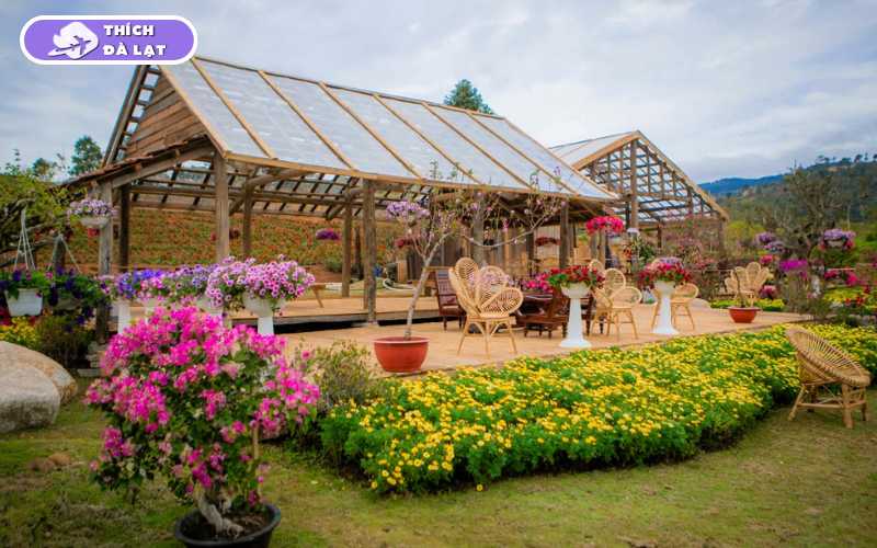 The Florest Hoa Trong Rừng điểm hot nhất Đà Lạt 17 the florest hoa trong rừng