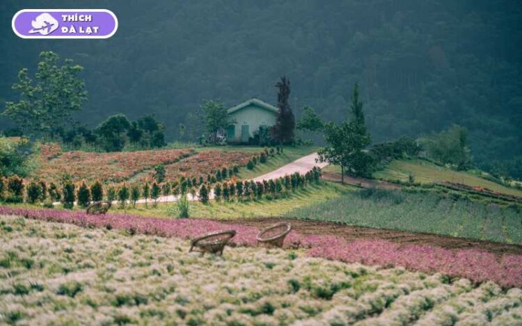 the florest hoa trong rừng