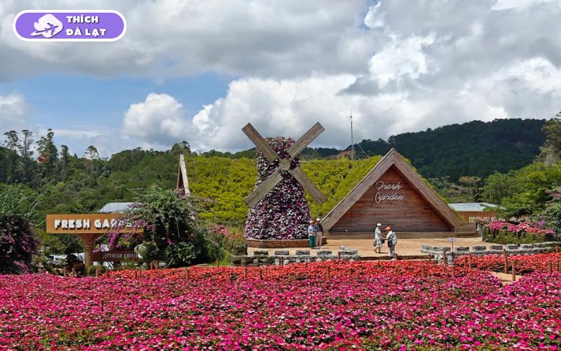 Top 20+ Vườn Hoa Đà Lạt check-in đẹp nhất cho các tín đồ sống ảo 32 vườn hoa đà lạt