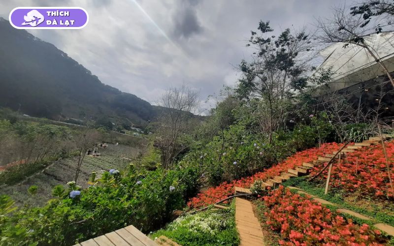Top 20+ Vườn Hoa Đà Lạt check-in đẹp nhất cho các tín đồ sống ảo 35 vườn hoa đà lạt