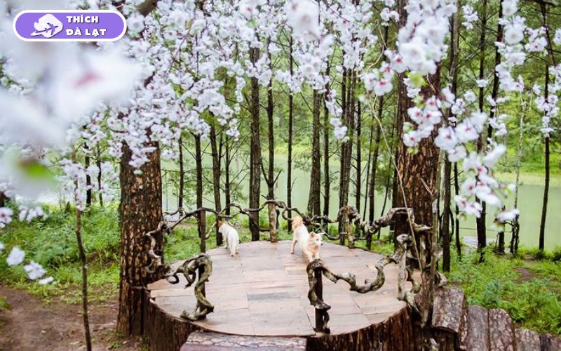 Top 20+ Vườn Hoa Đà Lạt check-in đẹp nhất cho các tín đồ sống ảo 37 vườn hoa đà lạt