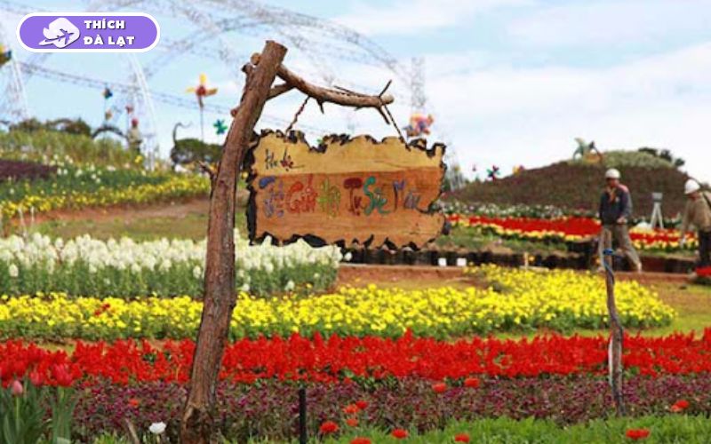 Top 20+ Vườn Hoa Đà Lạt check-in đẹp nhất cho các tín đồ sống ảo 23 vườn hoa đà lạt