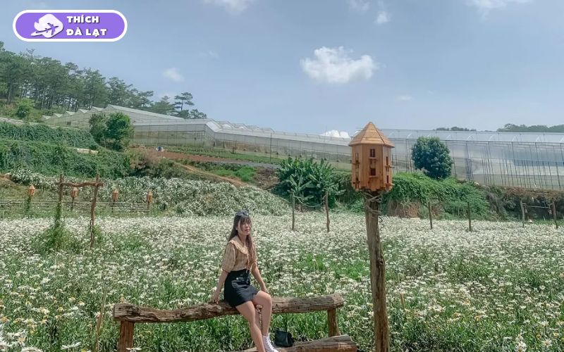 Top 20+ Vườn Hoa Đà Lạt check-in đẹp nhất cho các tín đồ sống ảo 41 vườn hoa đà lạt