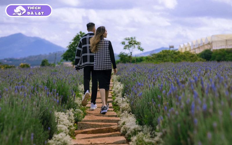 Top 20+ Vườn Hoa Đà Lạt check-in đẹp nhất cho các tín đồ sống ảo 24 vườn hoa đà lạt