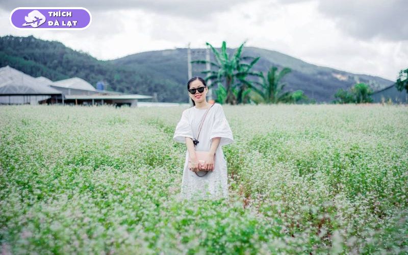 Top 20+ Vườn Hoa Đà Lạt check-in đẹp nhất cho các tín đồ sống ảo 26 vườn hoa đà lạt