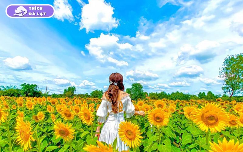 Top 20+ Vườn Hoa Đà Lạt check-in đẹp nhất cho các tín đồ sống ảo 27 vườn hoa đà lạt