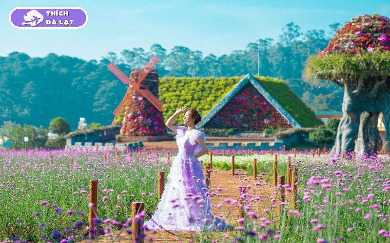 Top 20+ Vườn Hoa Đà Lạt check-in đẹp nhất cho các tín đồ sống ảo 30 vườn hoa đà lạt