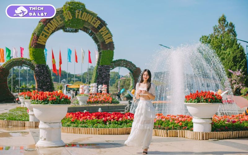Top 5 vườn hoa hồng Đà Lạt thơ mộng không thể bỏ lỡ khi du lịch 7 vườn hoa hồng đà lạt