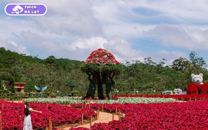 Top 5 vườn hoa hồng Đà Lạt thơ mộng không thể bỏ lỡ khi du lịch 8 vườn hoa hồng đà lạt