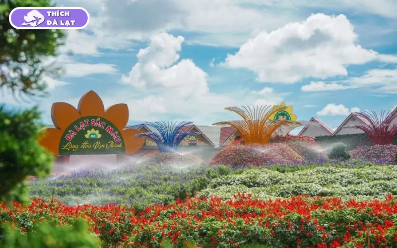 Top 5 vườn hoa hồng Đà Lạt thơ mộng không thể bỏ lỡ khi du lịch 11 vườn hoa hồng đà lạt