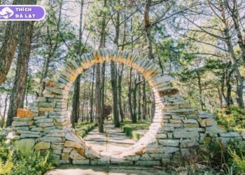 vườn hoa khô đà lạt