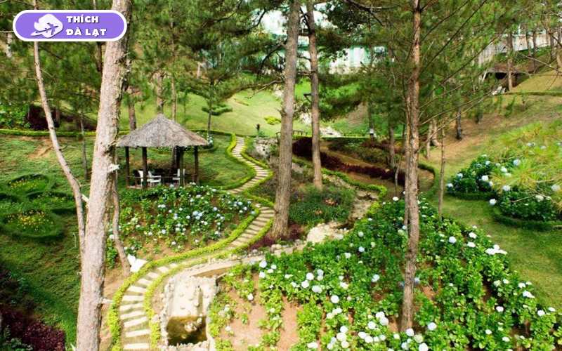 Vườn Hoa Khô Đà Lạt - Điểm đến nghệ thuật và thư giãn lý tưởng 15 vườn hoa khô đà lạt