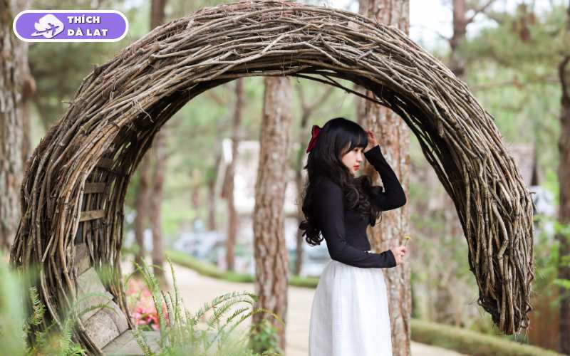 Vườn Hoa Khô Đà Lạt - Điểm đến nghệ thuật và thư giãn lý tưởng 16 vườn hoa khô đà lạt