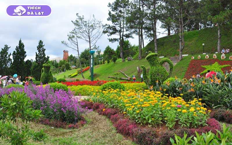 Vườn Hoa Khô Đà Lạt - Điểm đến nghệ thuật và thư giãn lý tưởng 19 vườn hoa khô đà lạt