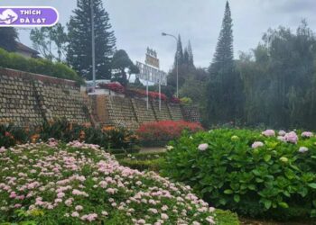 vườn hoa minh tâm đà lạt