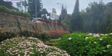 vườn hoa minh tâm đà lạt