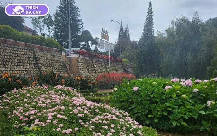 Vườn Hoa Minh Tâm Đà Lạt - Điểm check in đầy thơ mộng 10 vườn hoa minh tâm đà lạt