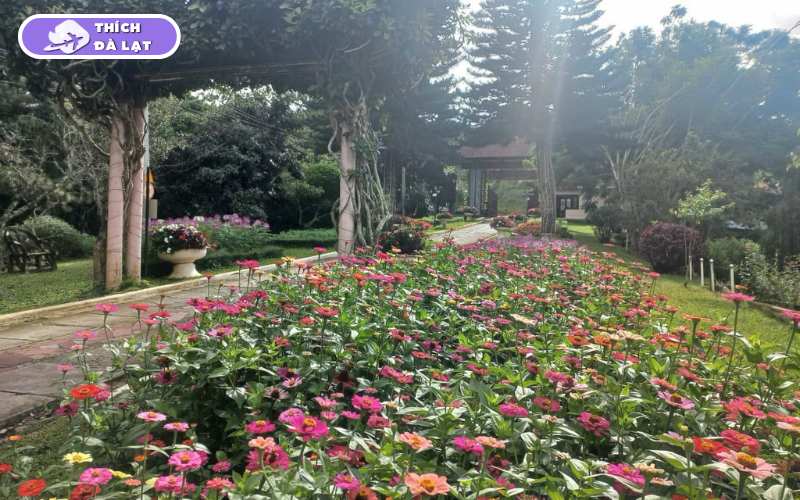 Vườn Hoa Minh Tâm Đà Lạt - Điểm check in đầy thơ mộng 12 vườn hoa minh tâm đà lạt