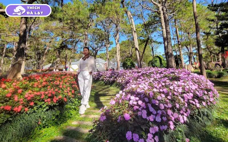 Vườn Hoa Minh Tâm Đà Lạt - Điểm check in đầy thơ mộng 13 vườn hoa minh tâm đà lạt