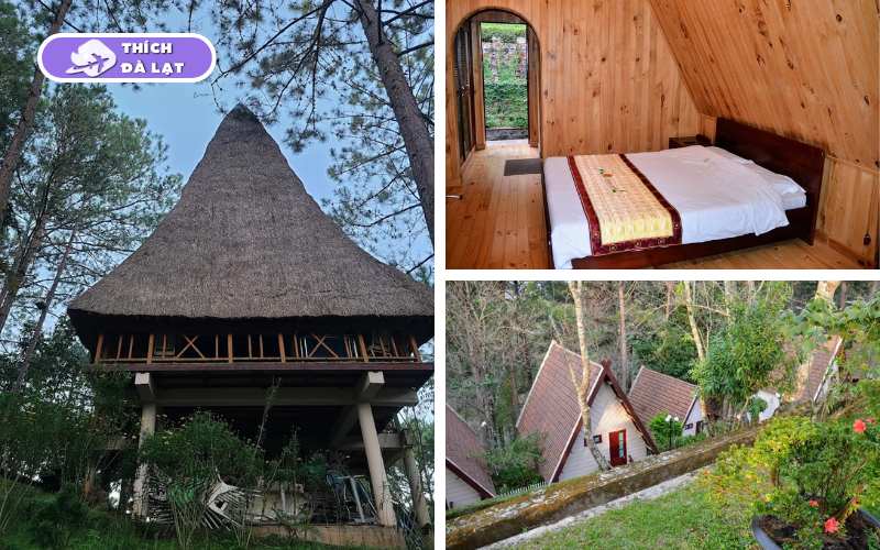 Vườn Hoa Minh Tâm Đà Lạt - Điểm check in đầy thơ mộng 14 vườn hoa minh tâm đà lạt