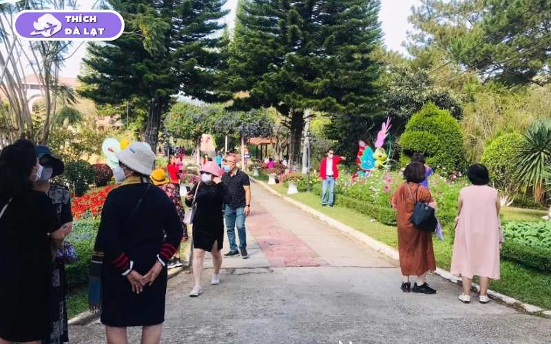Vườn Hoa Minh Tâm Đà Lạt - Điểm check in đầy thơ mộng 17 vườn hoa minh tâm đà lạt