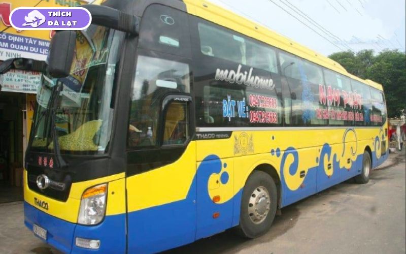 Top 15 nhà xe đi Đà Lạt uy tín từ Sài Gòn và các tỉnh lân cận 26 xe đi đà lạt