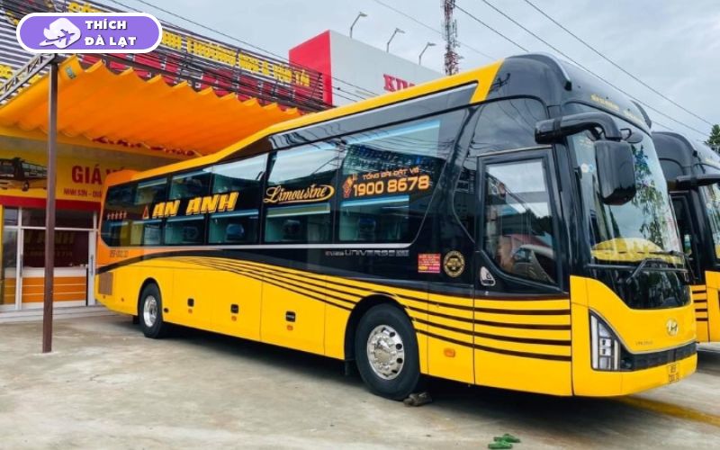 Top 15 nhà xe đi Đà Lạt uy tín từ Sài Gòn và các tỉnh lân cận 21 xe đi đà lạt
