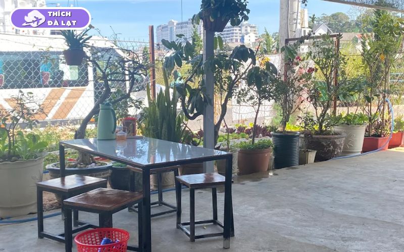 Quán Bánh căn Nhỏ Đà Lạt bánh nóng hổi giá mềm ăn dễ ghiền 7 bánh căn nhỏ đà lạt