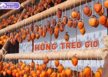 cách làm hồng treo gió đà lạt