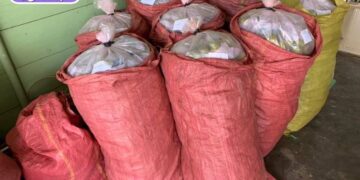 cách ủ hồng giòn đà lạt