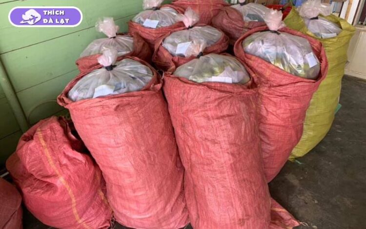 cách ủ hồng giòn đà lạt