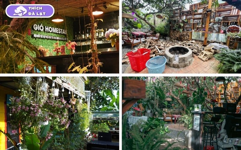 Gió Homestay Đà Lạt chốn nghỉ dưỡng mộc mạc gần thiên nhiên 11 gió homestay đà lạt