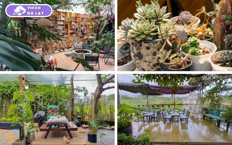 Gió Homestay Đà Lạt chốn nghỉ dưỡng mộc mạc gần thiên nhiên 13 gió homestay đà lạt