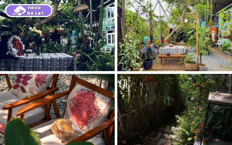 Gió Homestay Đà Lạt chốn nghỉ dưỡng mộc mạc gần thiên nhiên 14 gió homestay đà lạt