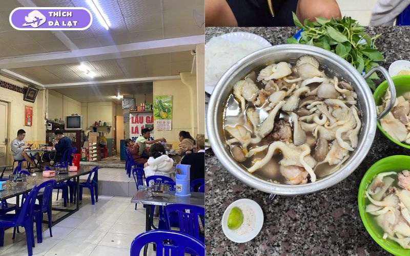 Top 15+ quán lẩu gà lá é Đà Lạt ngon nhất mà bạn không nên bỏ qua 18 lẩu gà lá é đà lạt