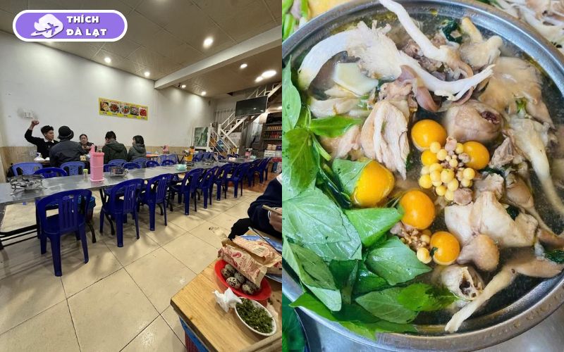 Top 15+ quán lẩu gà lá é Đà Lạt ngon nhất mà bạn không nên bỏ qua 26 lẩu gà lá é đà lạt