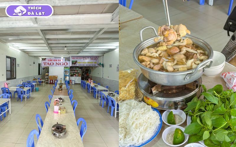 Top 15+ quán lẩu gà lá é Đà Lạt ngon nhất mà bạn không nên bỏ qua 21 lẩu gà lá é đà lạt