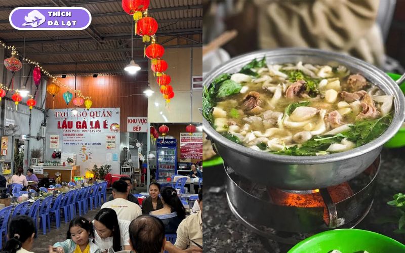 Top 15+ quán lẩu gà lá é Đà Lạt ngon nhất mà bạn không nên bỏ qua 22 lẩu gà lá é đà lạt
