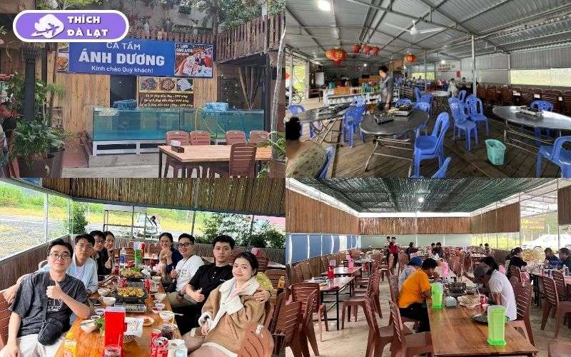 Quán Cá tầm Ánh Dương chọn cá sống chế biến tại chỗ giá rõ ràng 7 cá tầm ánh dương