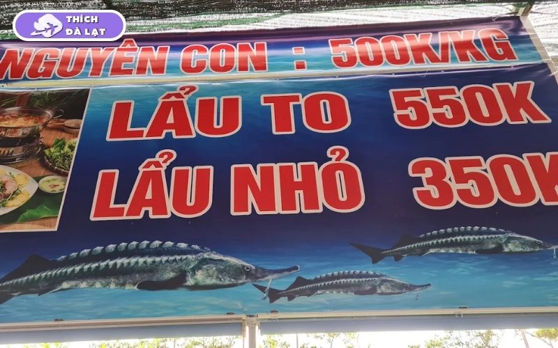 Quán Cá tầm Ánh Dương chọn cá sống chế biến tại chỗ giá rõ ràng 8 cá tầm ánh dương