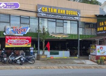 cá tầm ánh dương