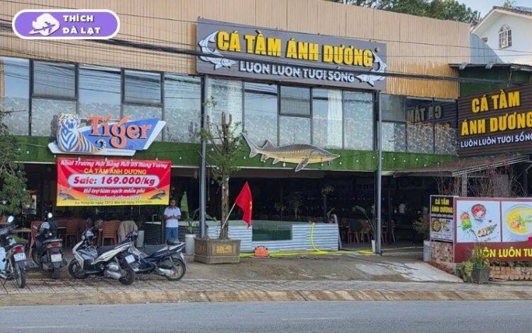 Quán Cá tầm Ánh Dương chọn cá sống chế biến tại chỗ giá rõ ràng 6 cá tầm ánh dương