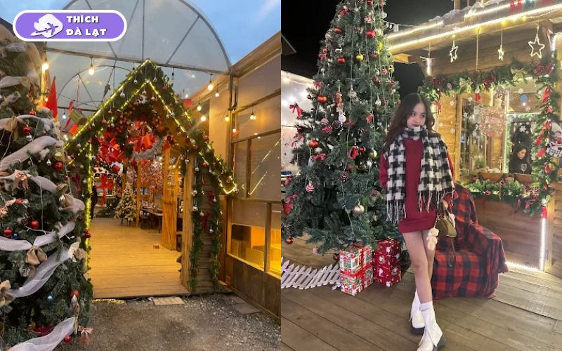 Top 10 địa điểm đi chơi Noel ở Đà Lạt nhiều góc đẹp để check-in 16 địa điểm đi chơi noel ở đà lạt